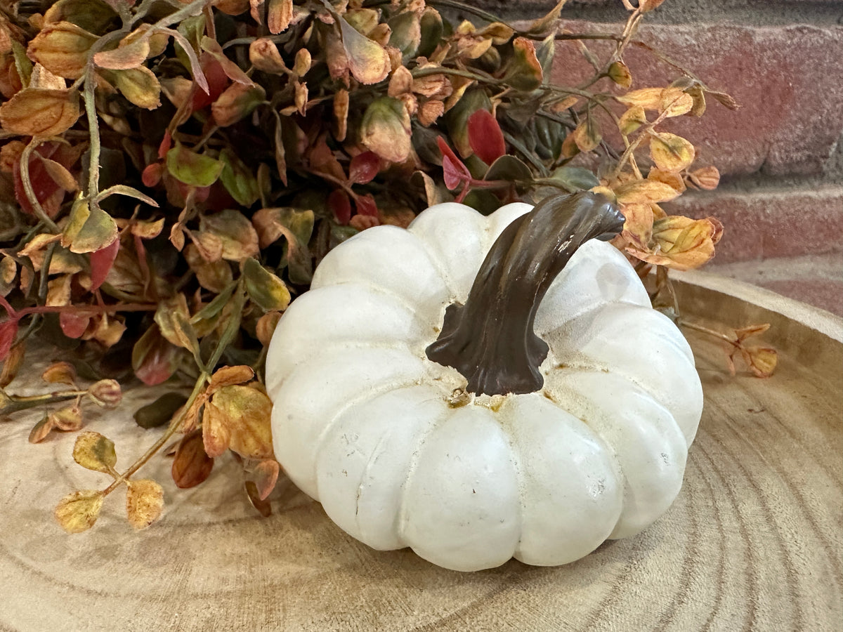 Harvest Pumpkins Mini - 3 Styles