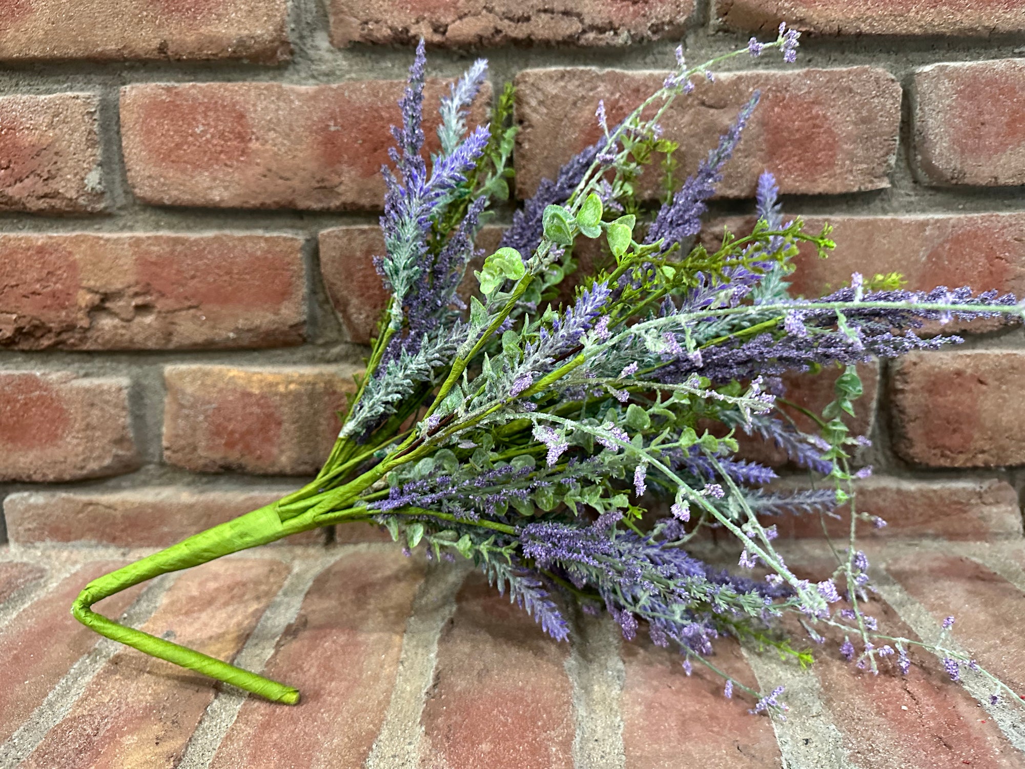 Mixed Lavender Bush
