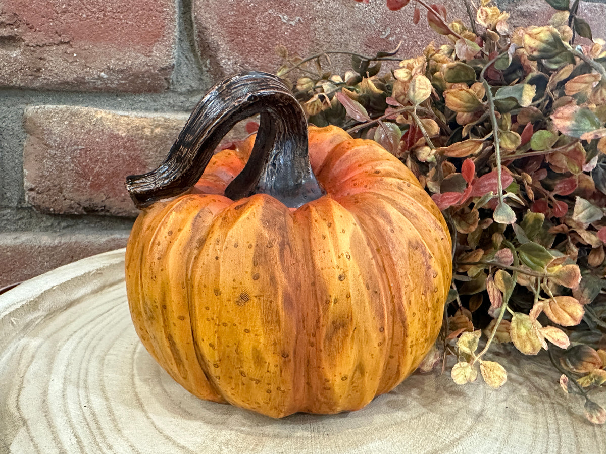 Harvest Pumpkins - 3 Styles
