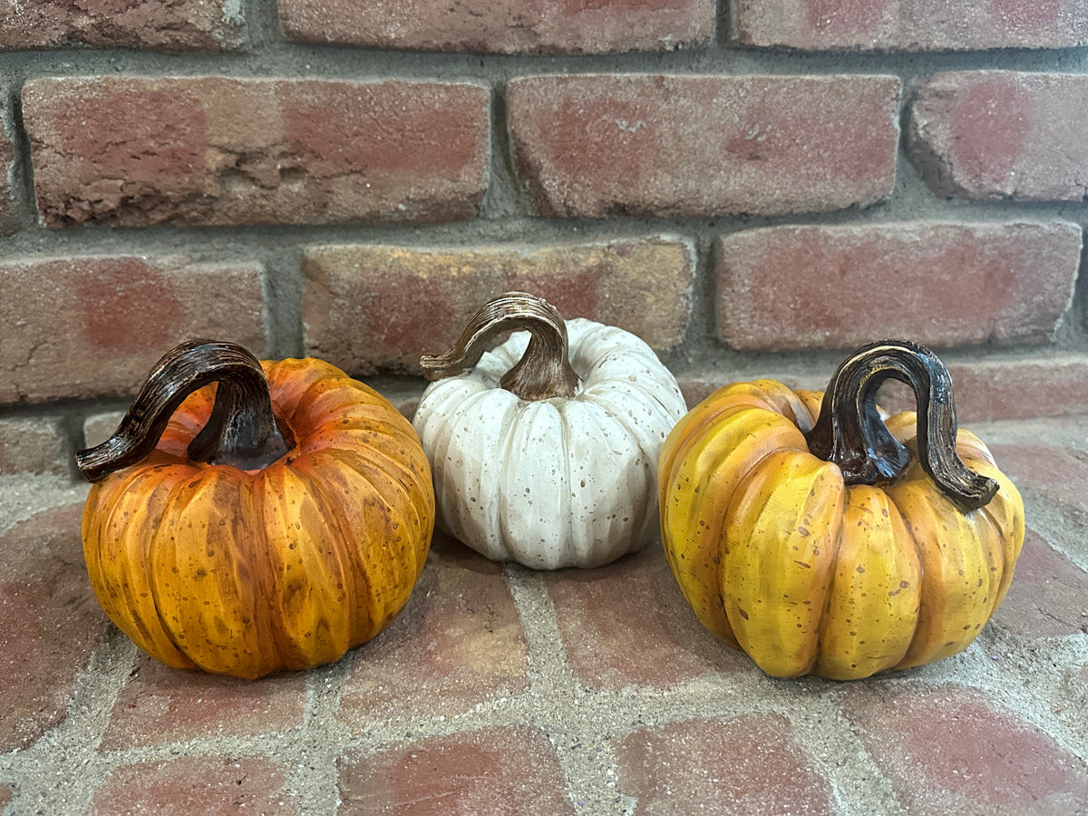 Harvest Pumpkins - 3 Styles