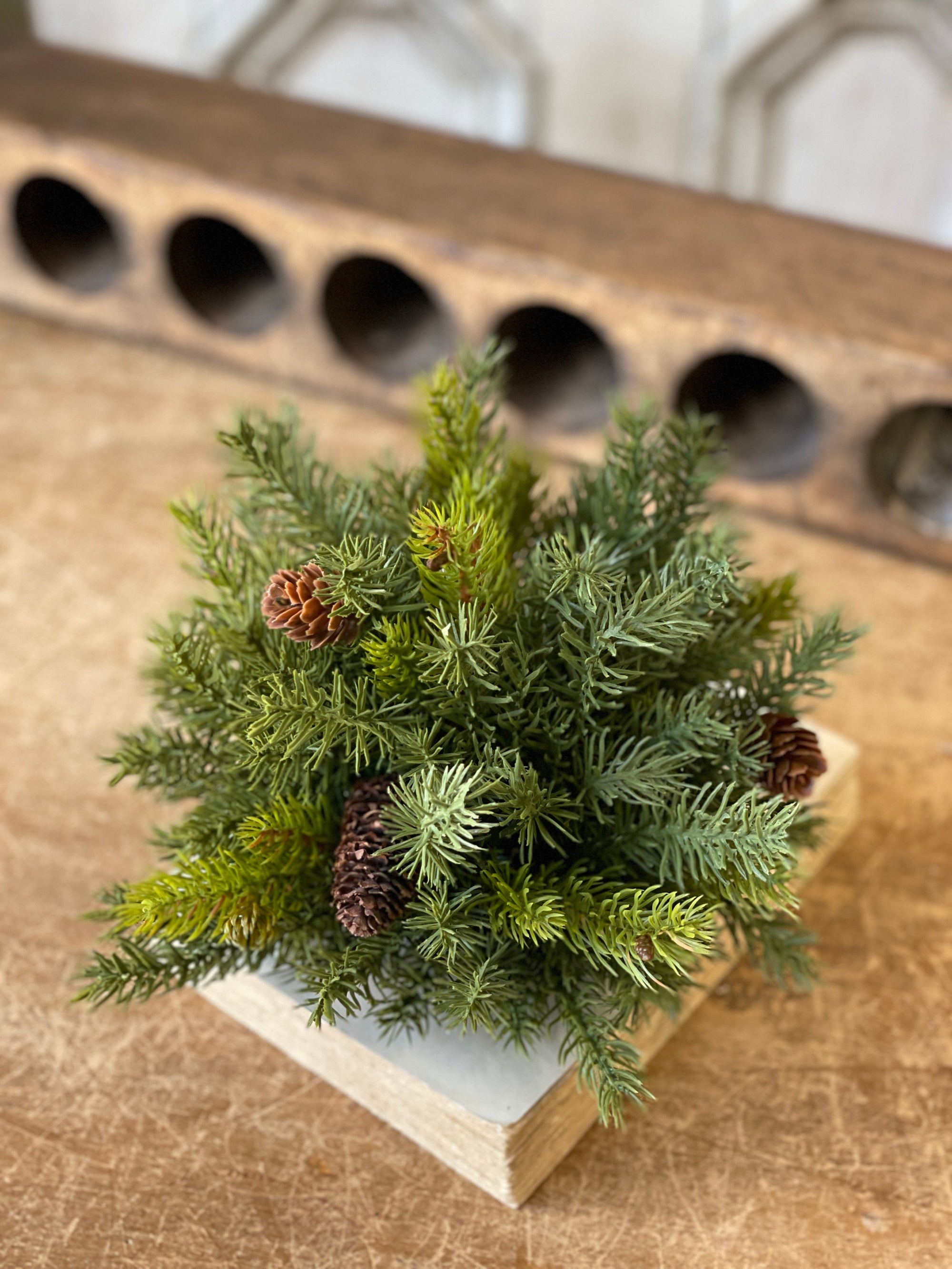White Spruce with Cones Half Sphere - Large
