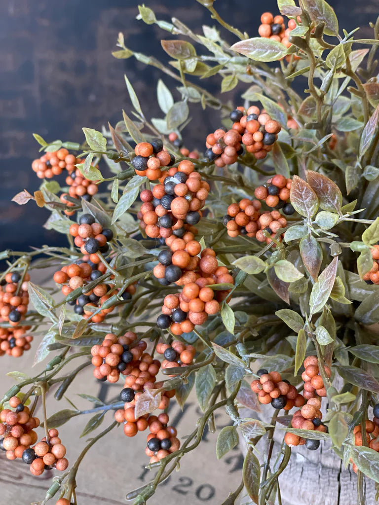 Hasp Berry Half Sphere - Pumpkin