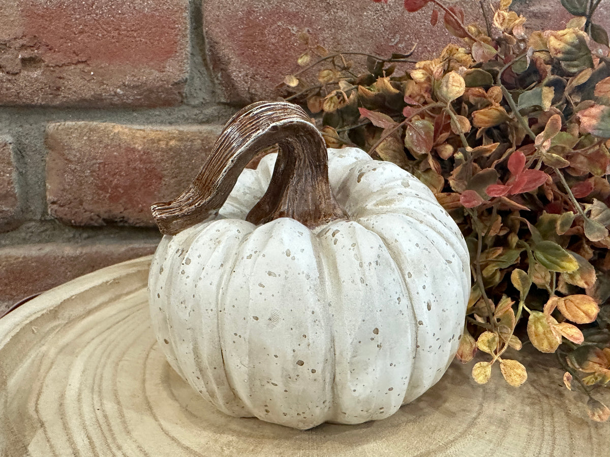 Harvest Pumpkins - 3 Styles