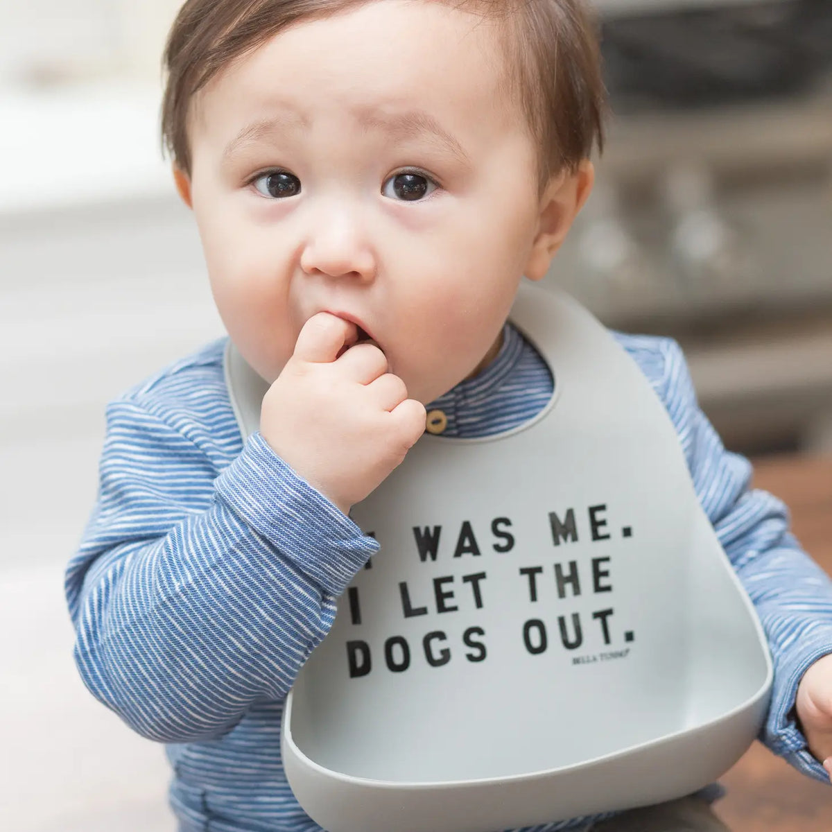 Dogs Out Wonder Bib