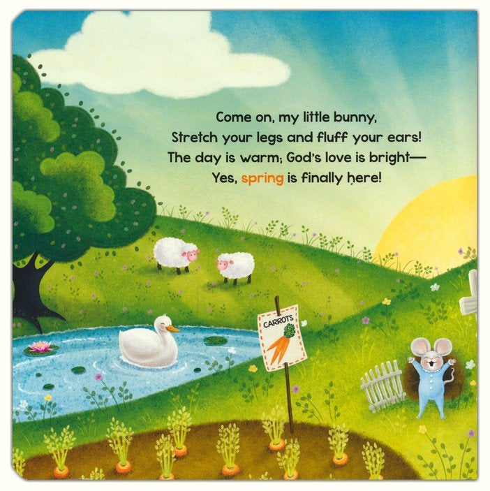 Night Night Bunny Book