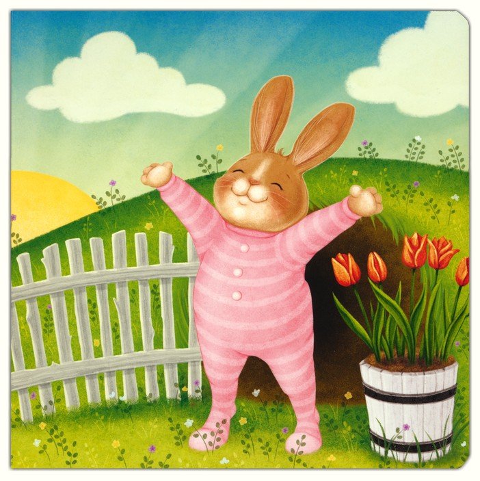 Night Night Bunny Book