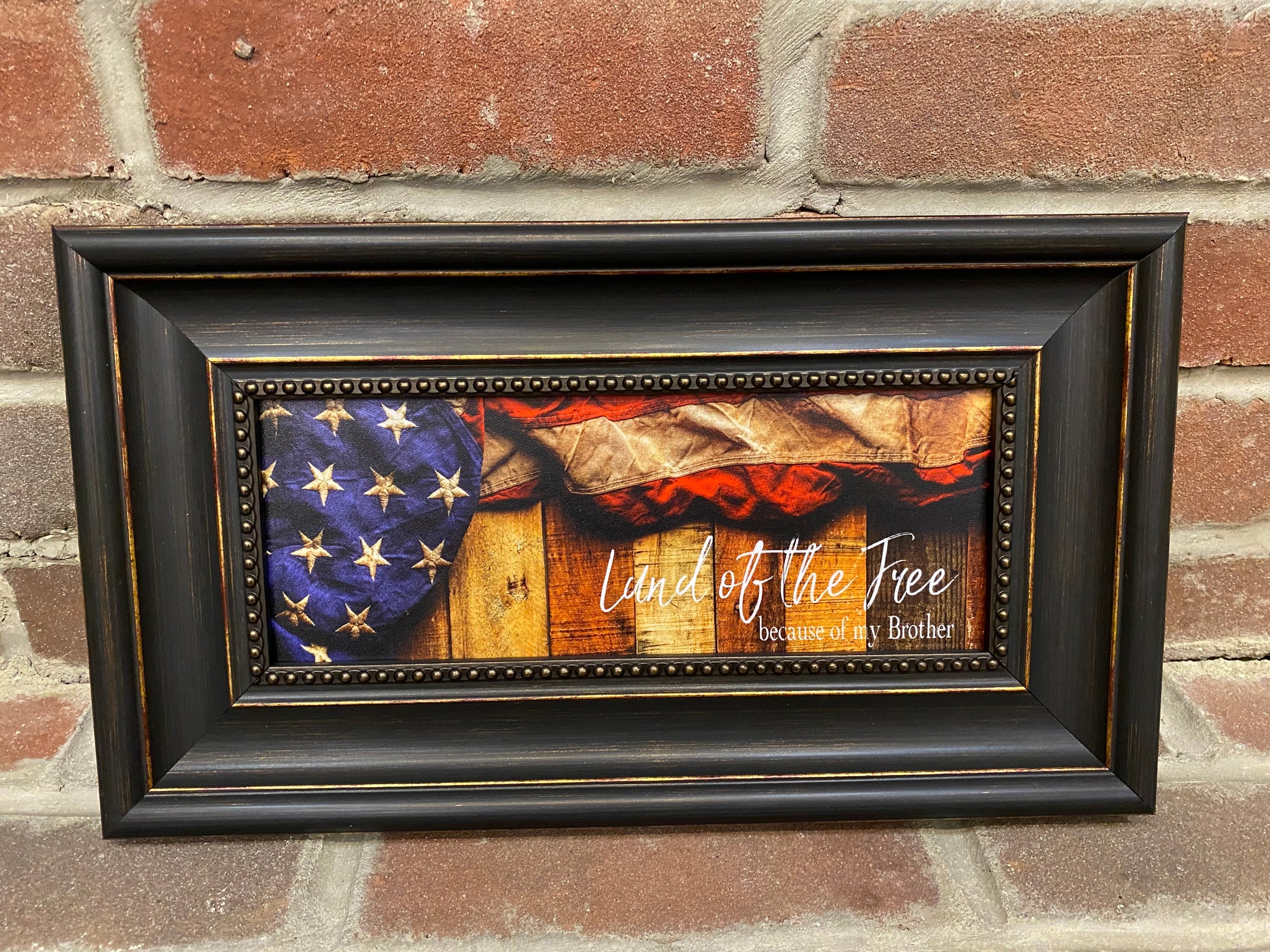 Land of the Free...Brother Framed Print