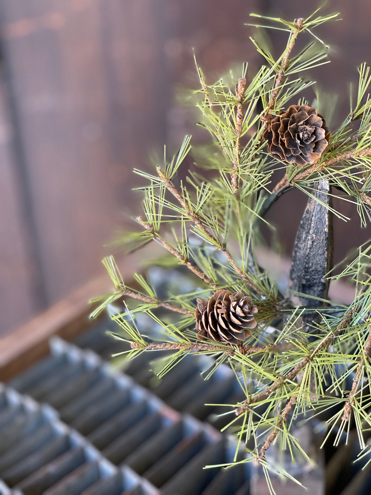 Cypress Pine Taper Candle Ring