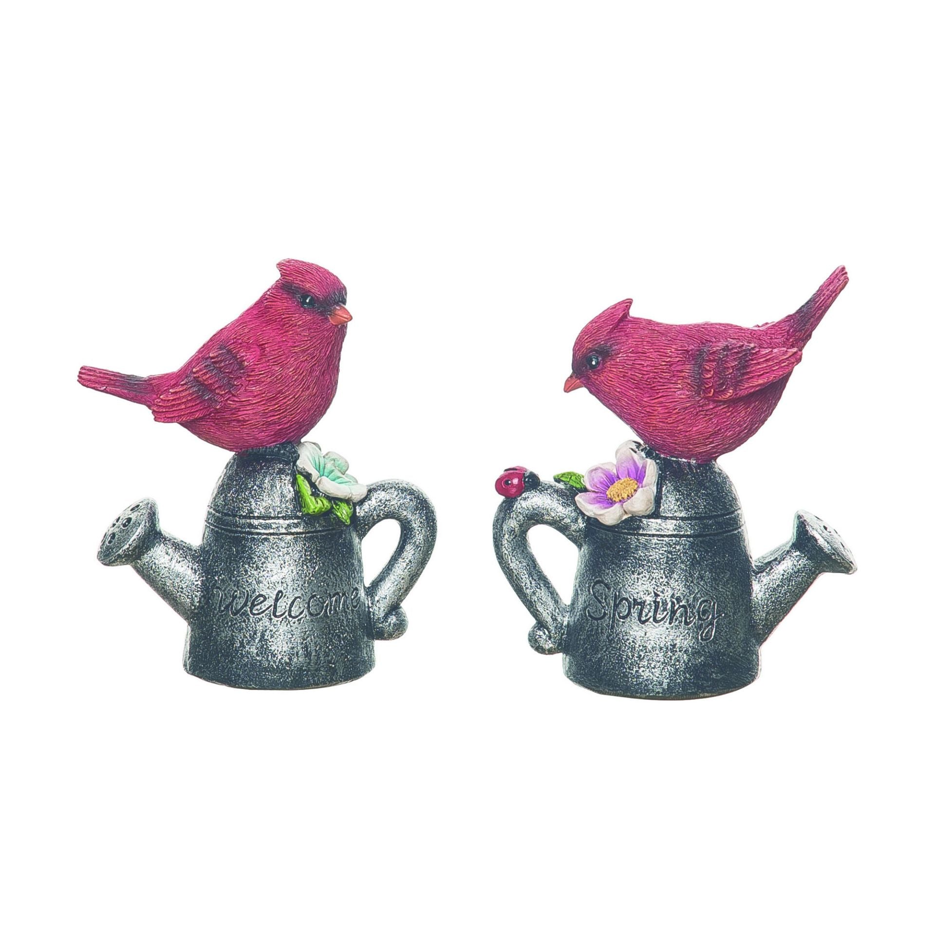 Cardinal Watering Can - 2 Styles