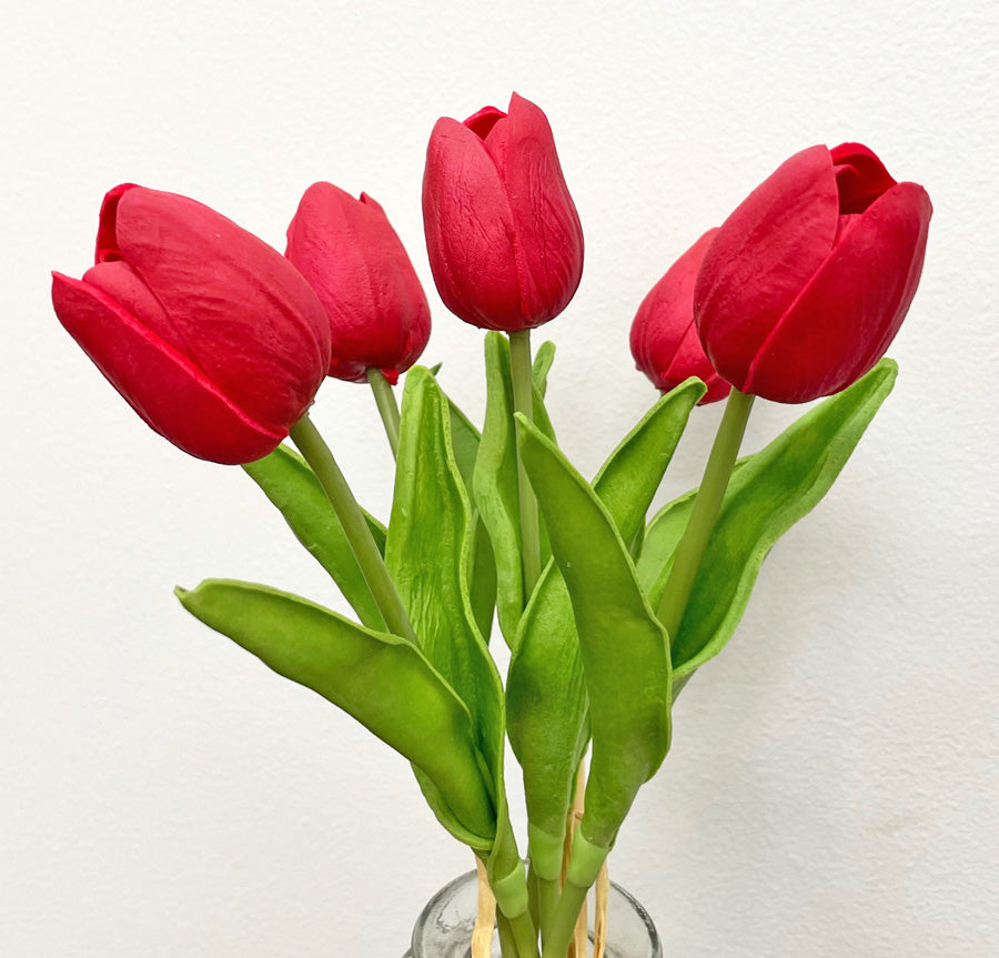 Tulips - 5 Styles