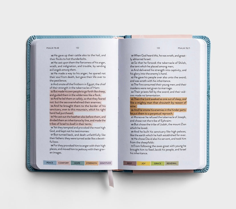 Sanctuary in the Psalms - KJV Scripture Book