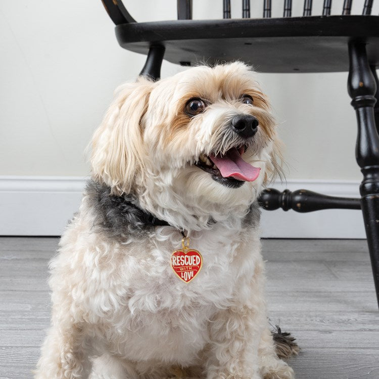 Rescued Dog Collar Charm