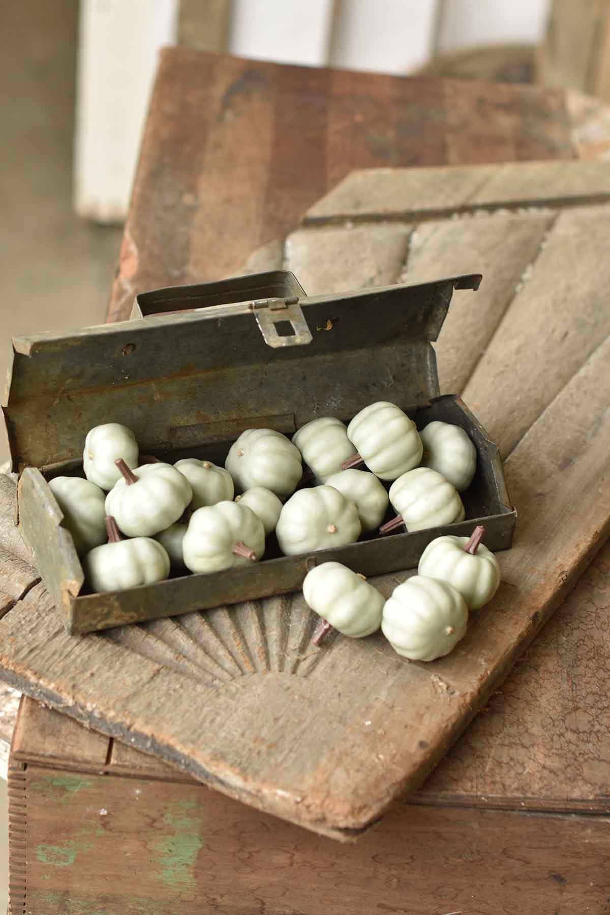 Boxed Mini Pumpkins - 3 Styles