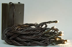 Battery Twinkle Lights - 20 Count