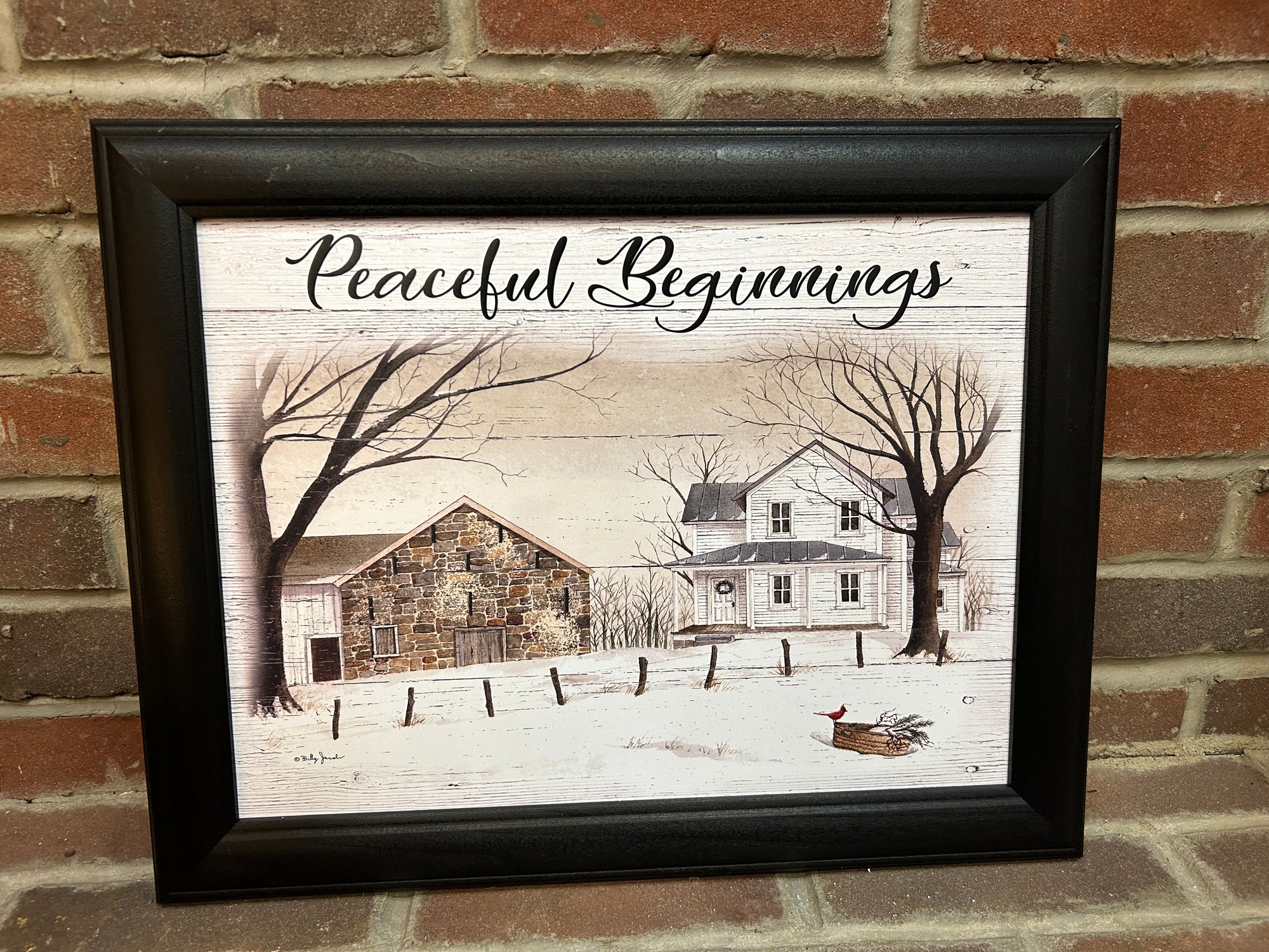 Peaceful Beginnings Framed Print