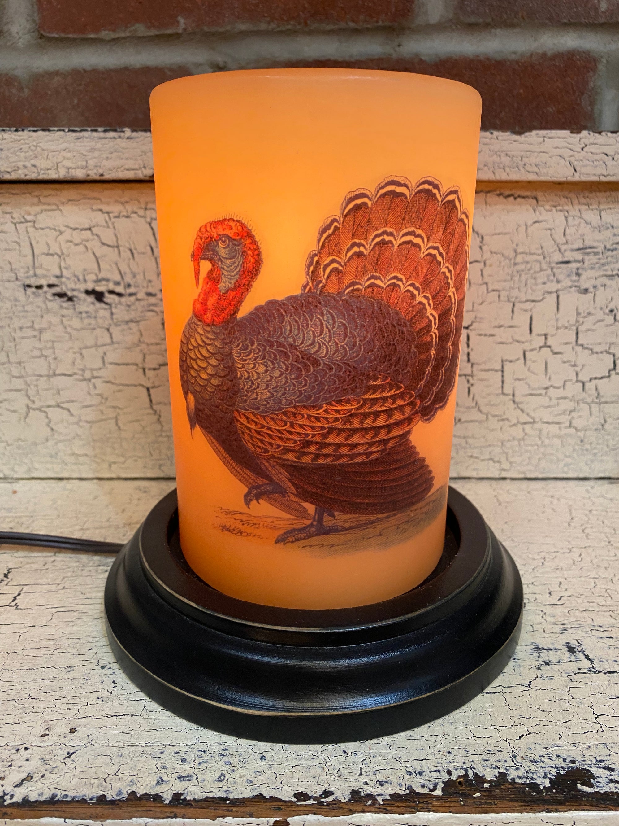 Large Turkey Candle Sleeve