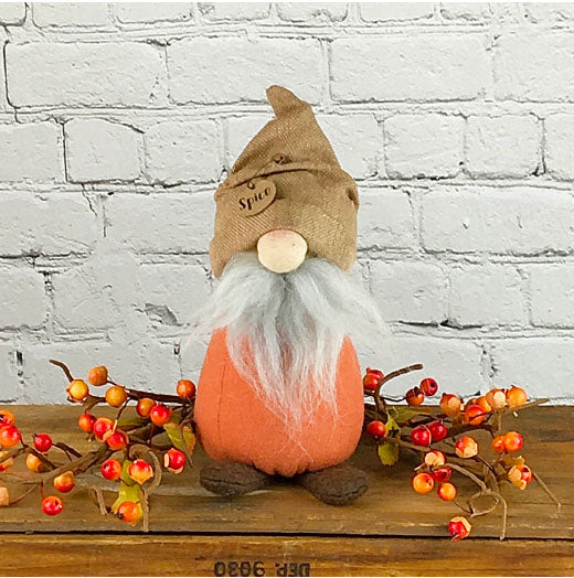 Spice the Fall Gnome