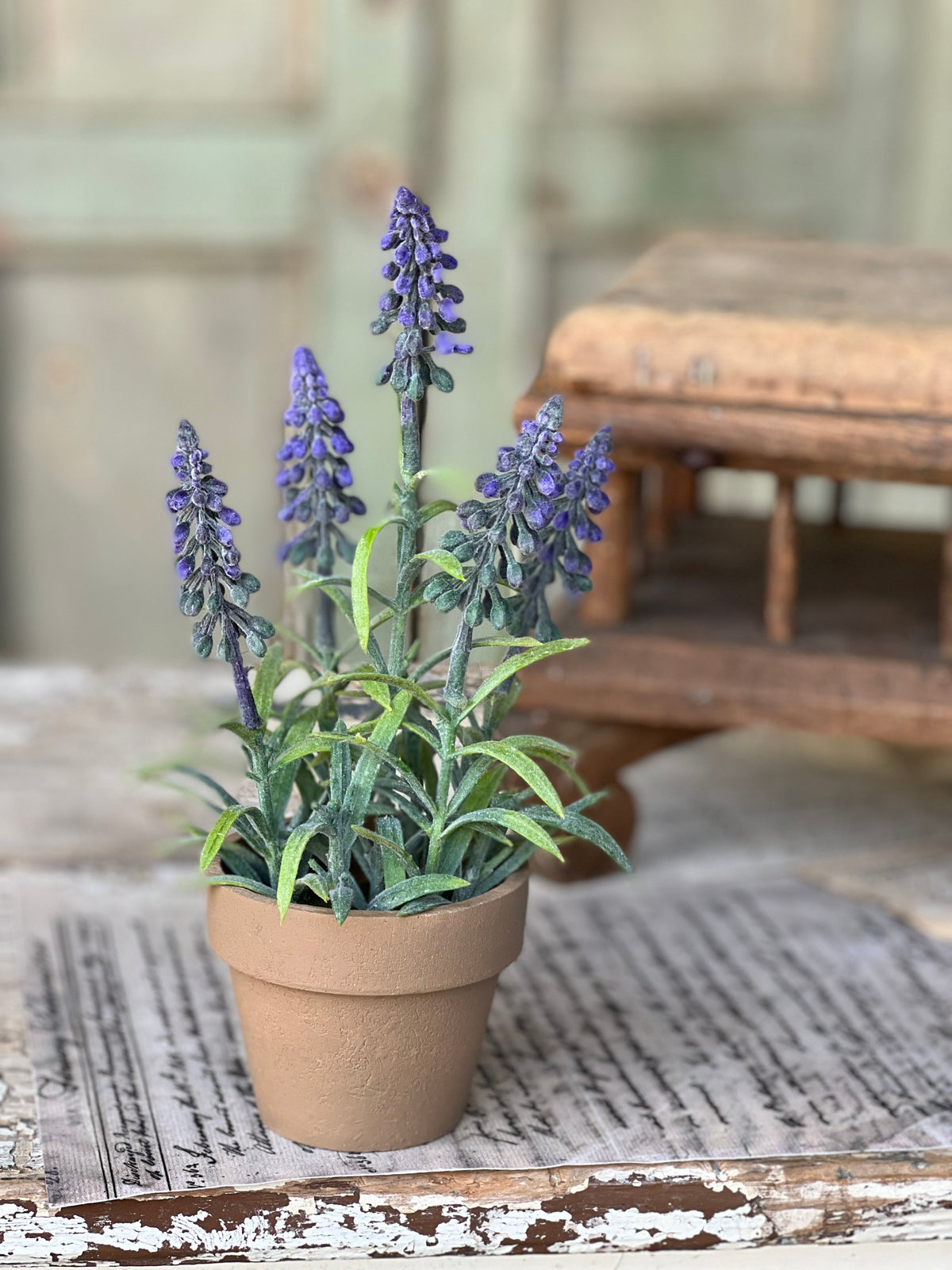 Mountain Bells Pot - Purple
