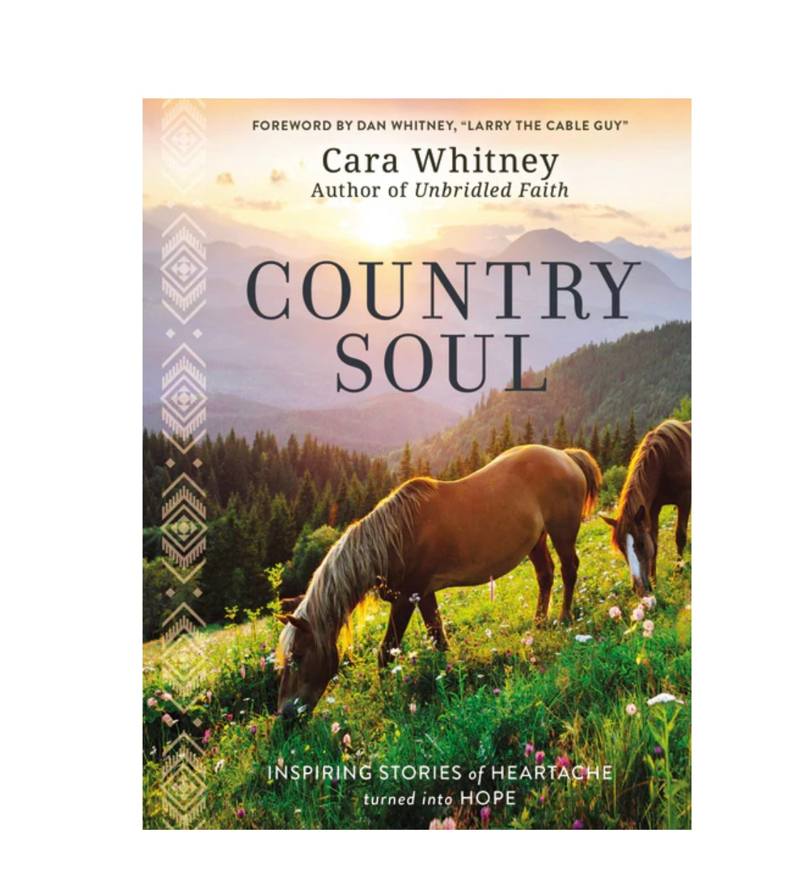 Country Soul : Inspiring Stories