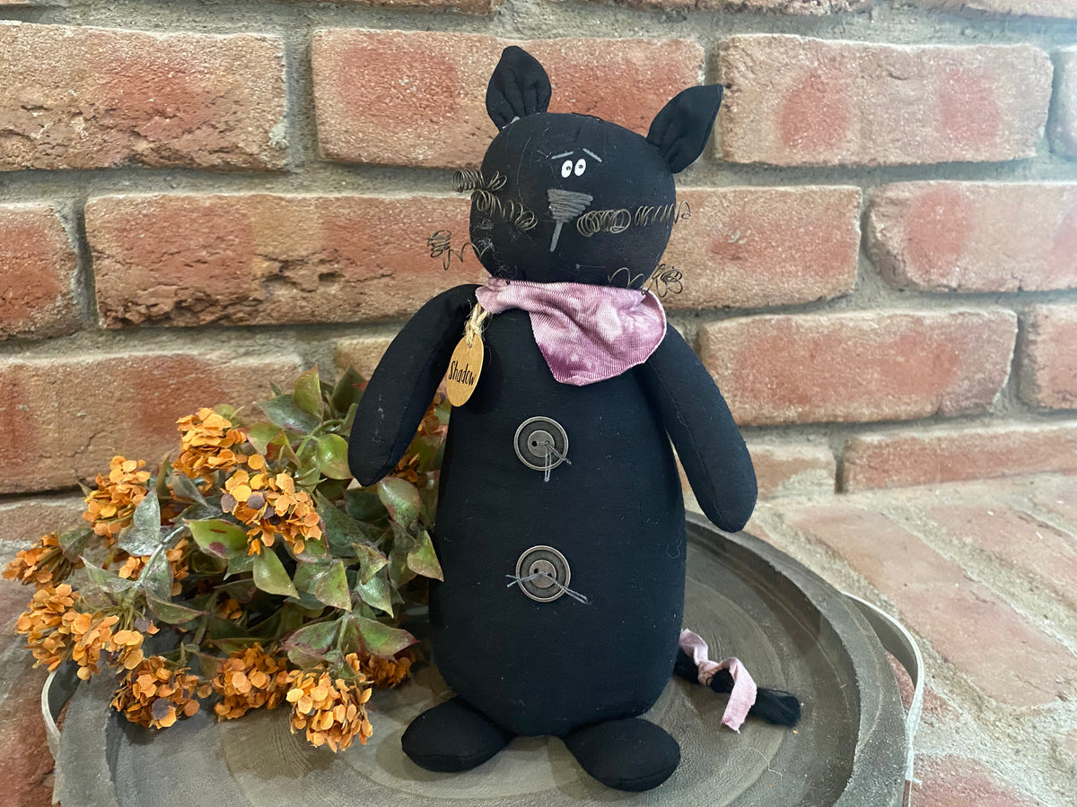 Shadow the Groovy Black Cat