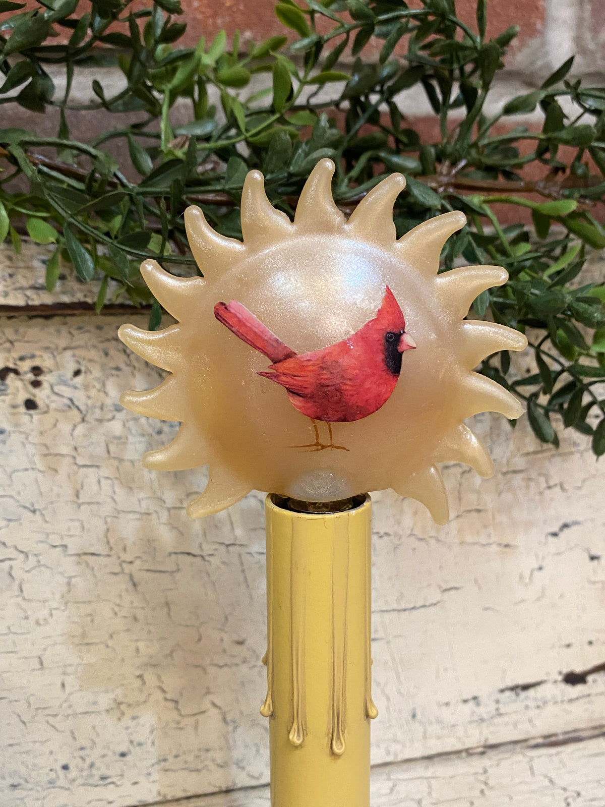 Cardinal Sun Light Bulb