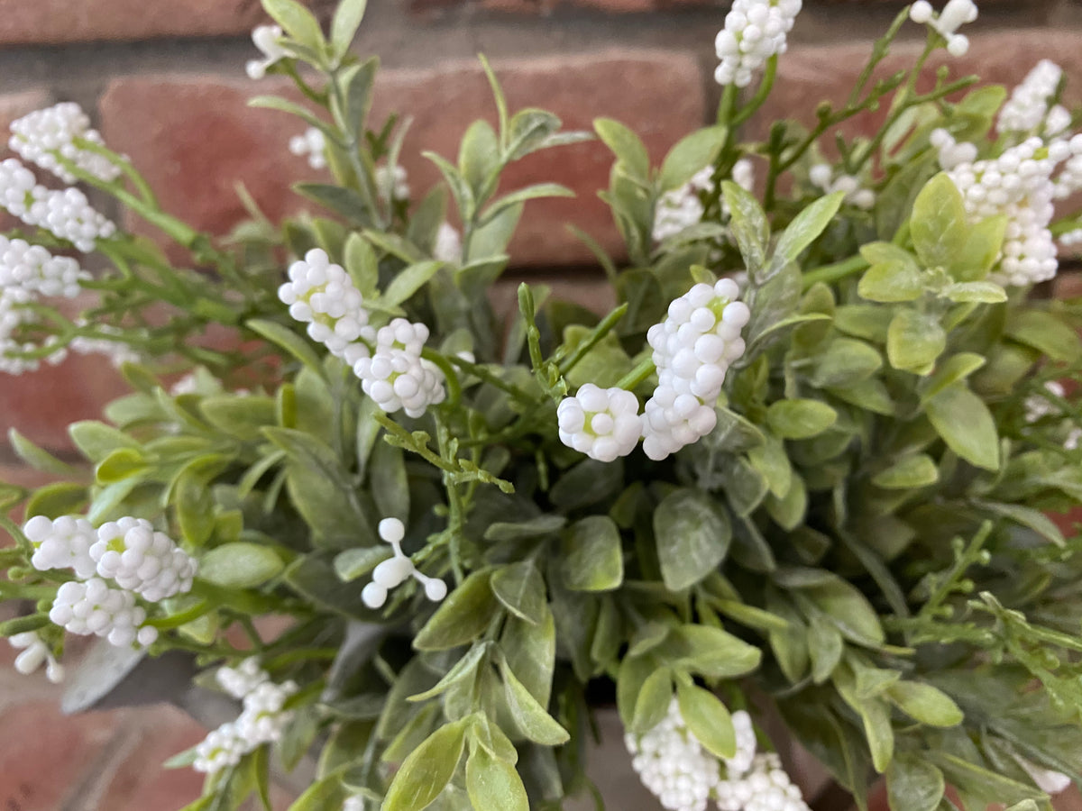 Watering Can with Luxberry Bush Arrangement