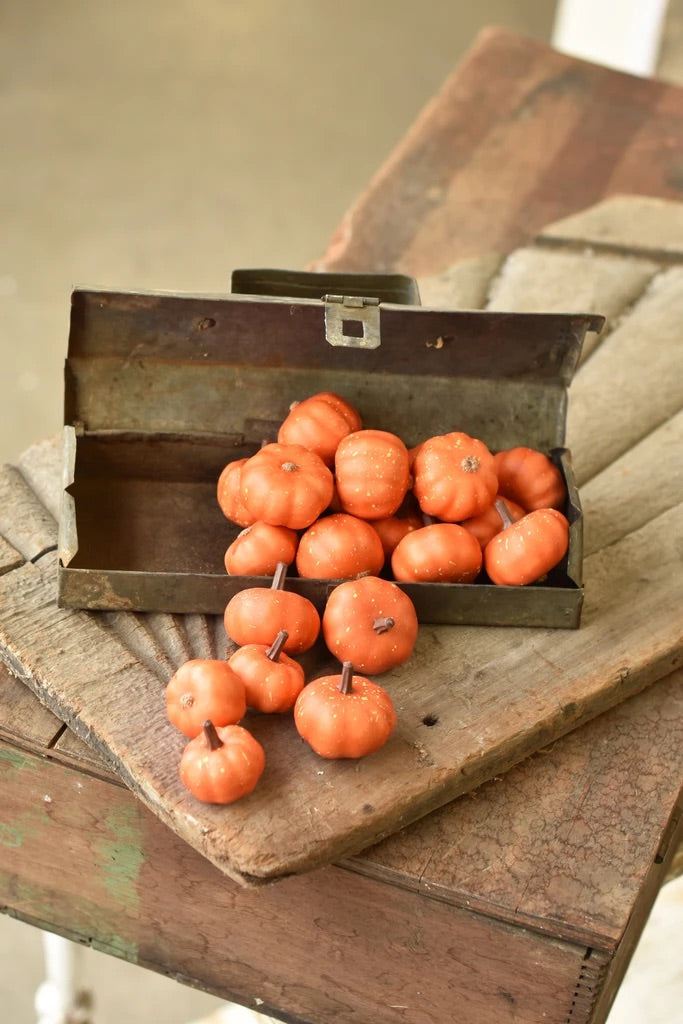 Boxed Mini Pumpkins - 3 Styles