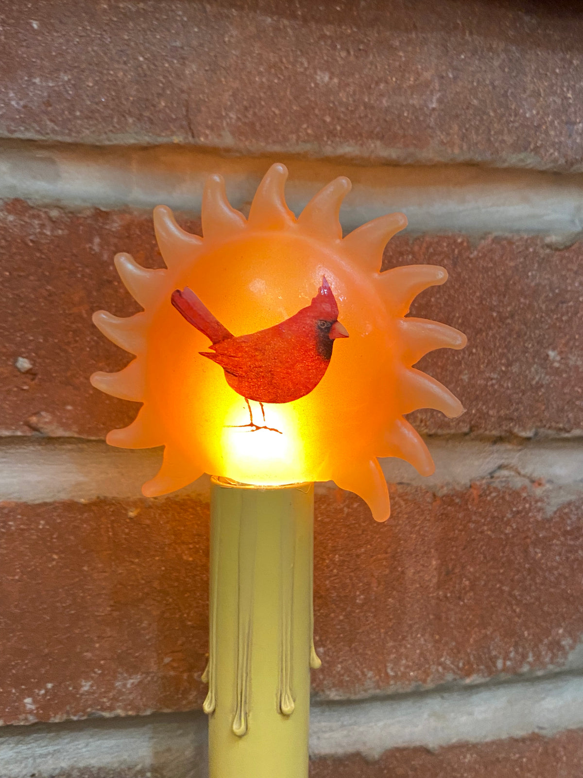 Cardinal Sun Light Bulb