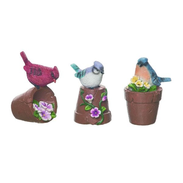 Bird shops Garden Pot