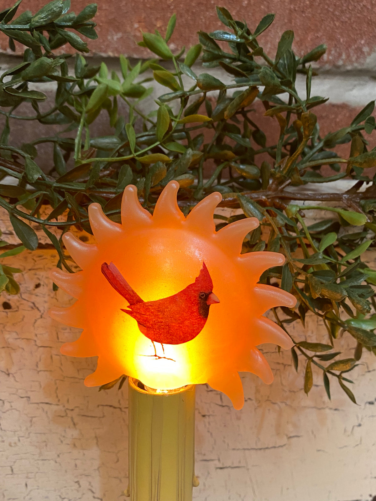 Cardinal Sun Light Bulb
