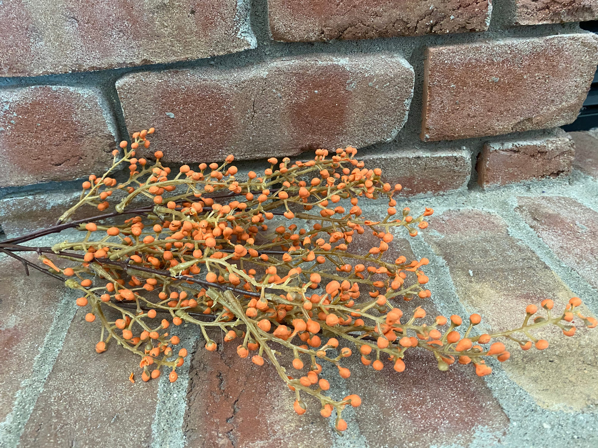 Button Berries Bush - Orange