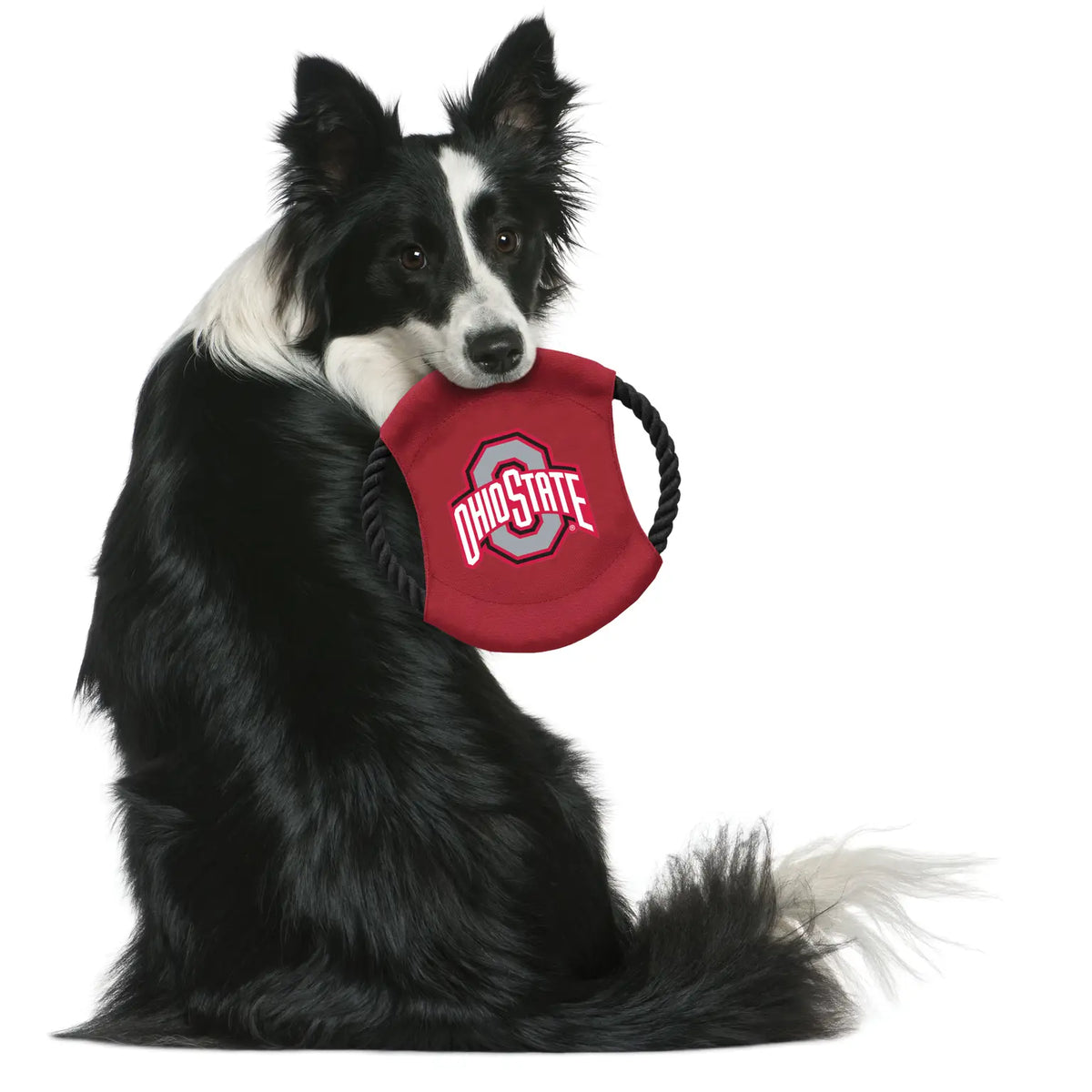 Ohio State Buckeyes Disc Pet Toy