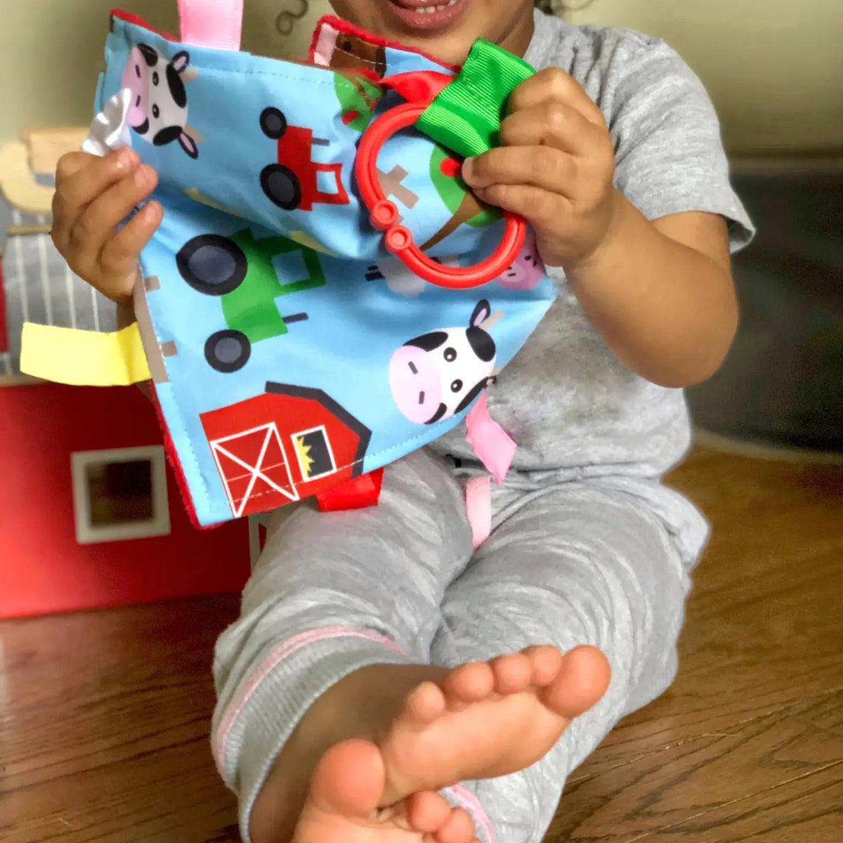 Farm Animals Crinkle Tag Square Toy