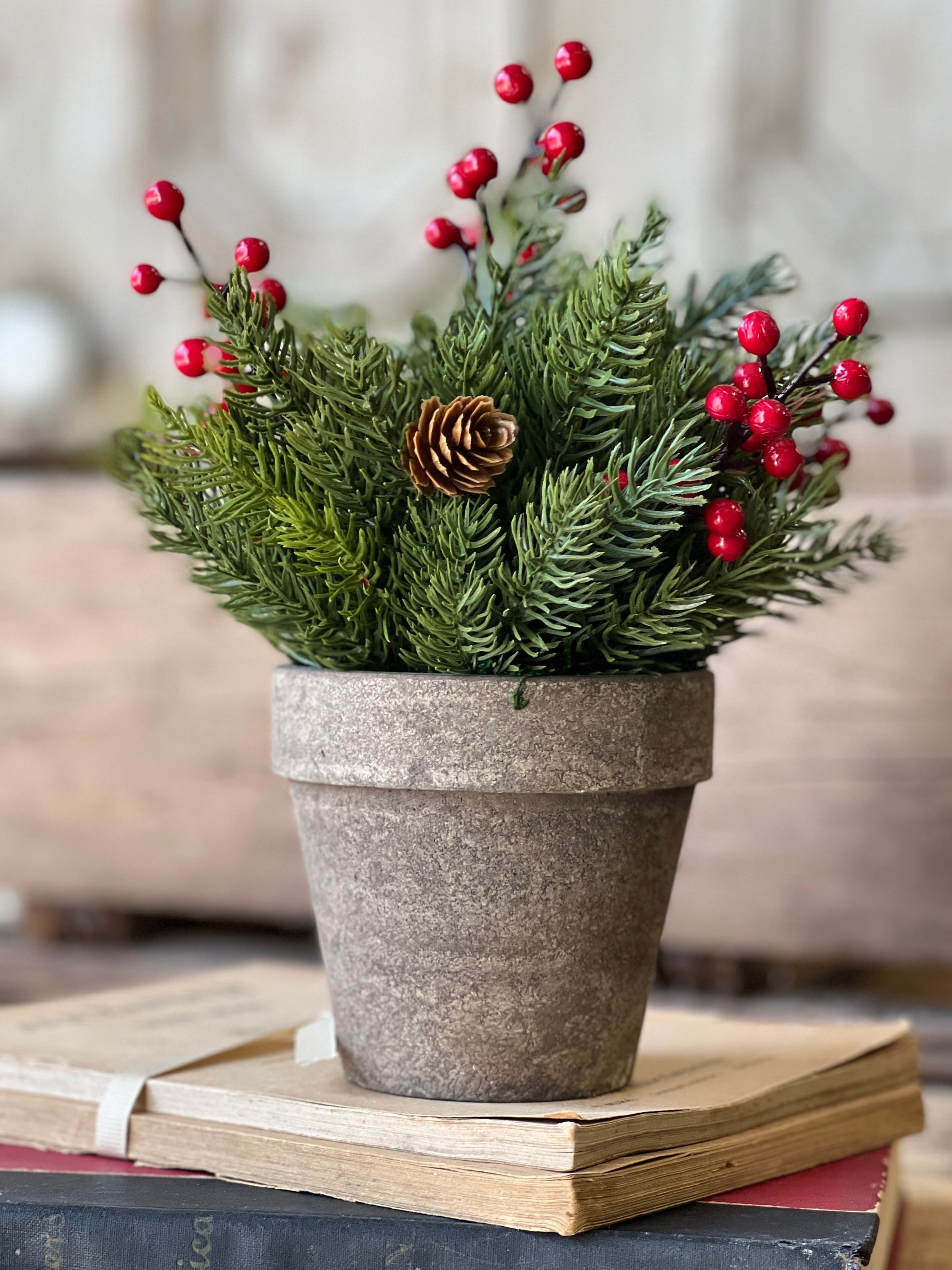 Potted White Spruce with Berries