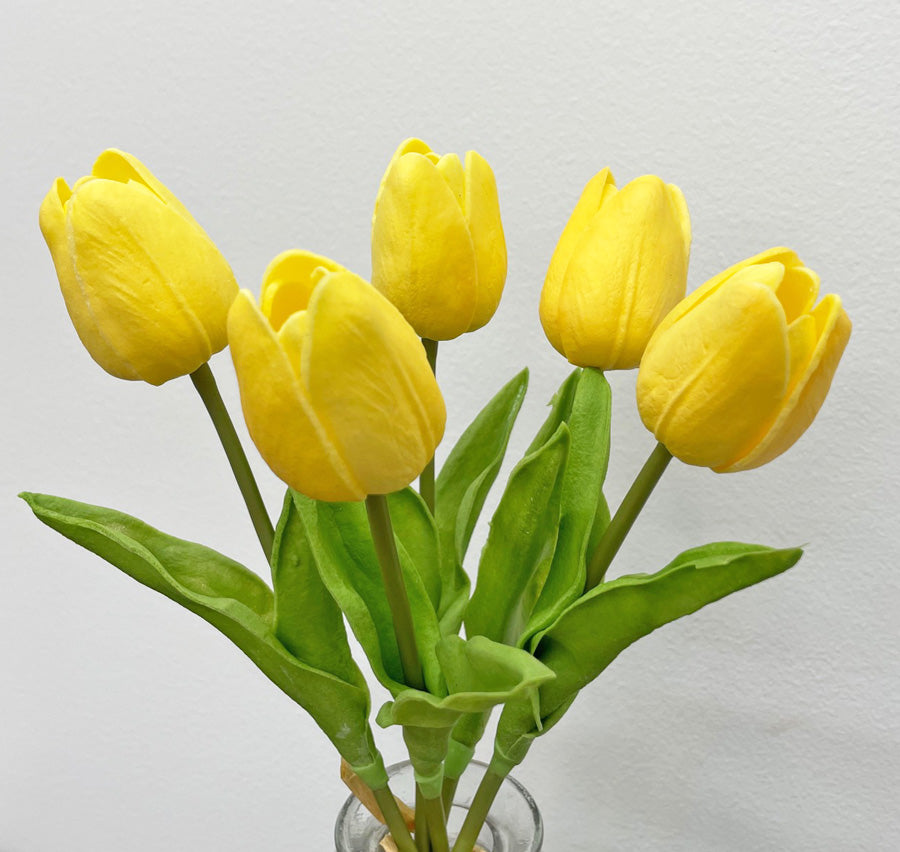 Tulips - 5 Styles