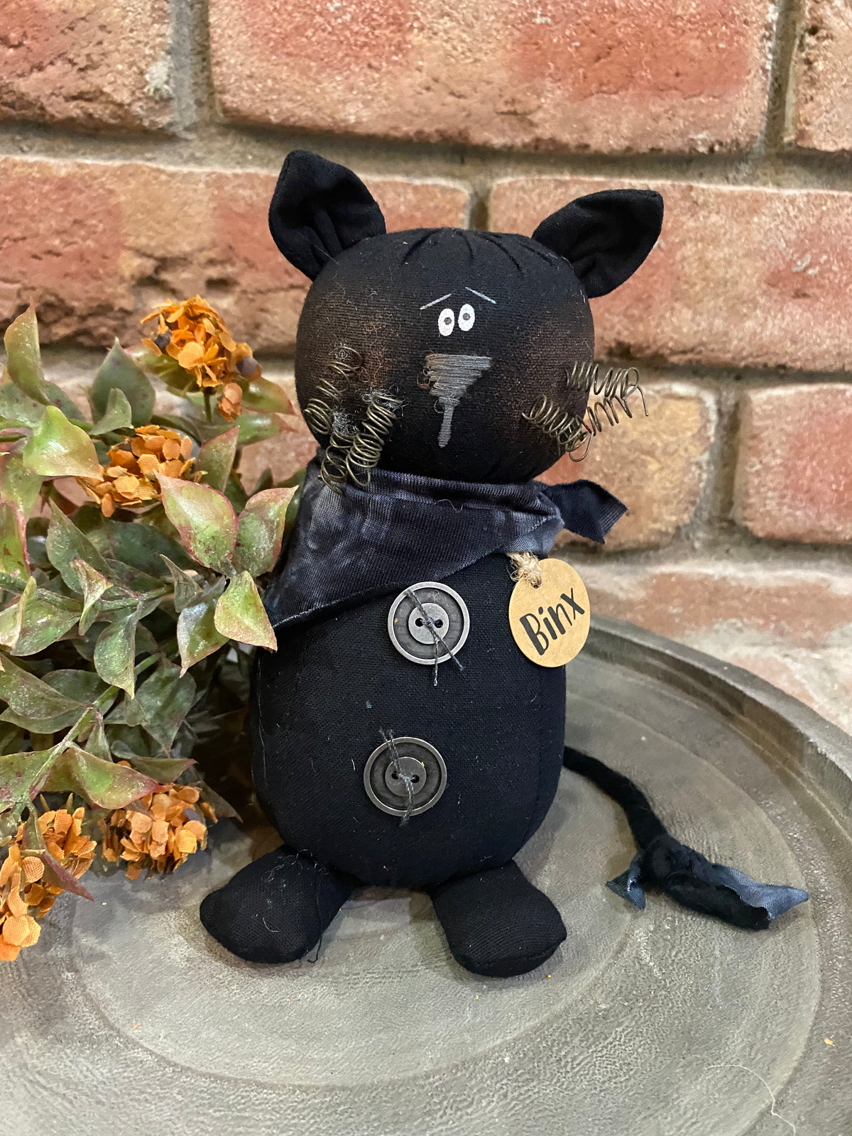 Binx the Groovy Black Cat