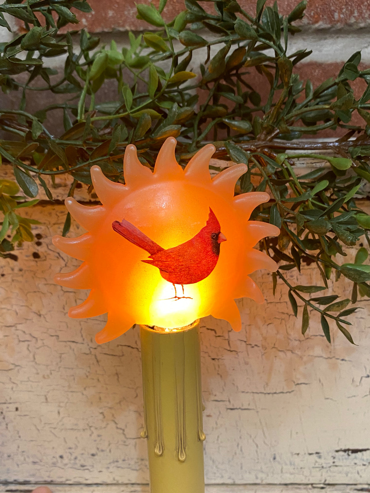 Cardinal Sun Light Bulb