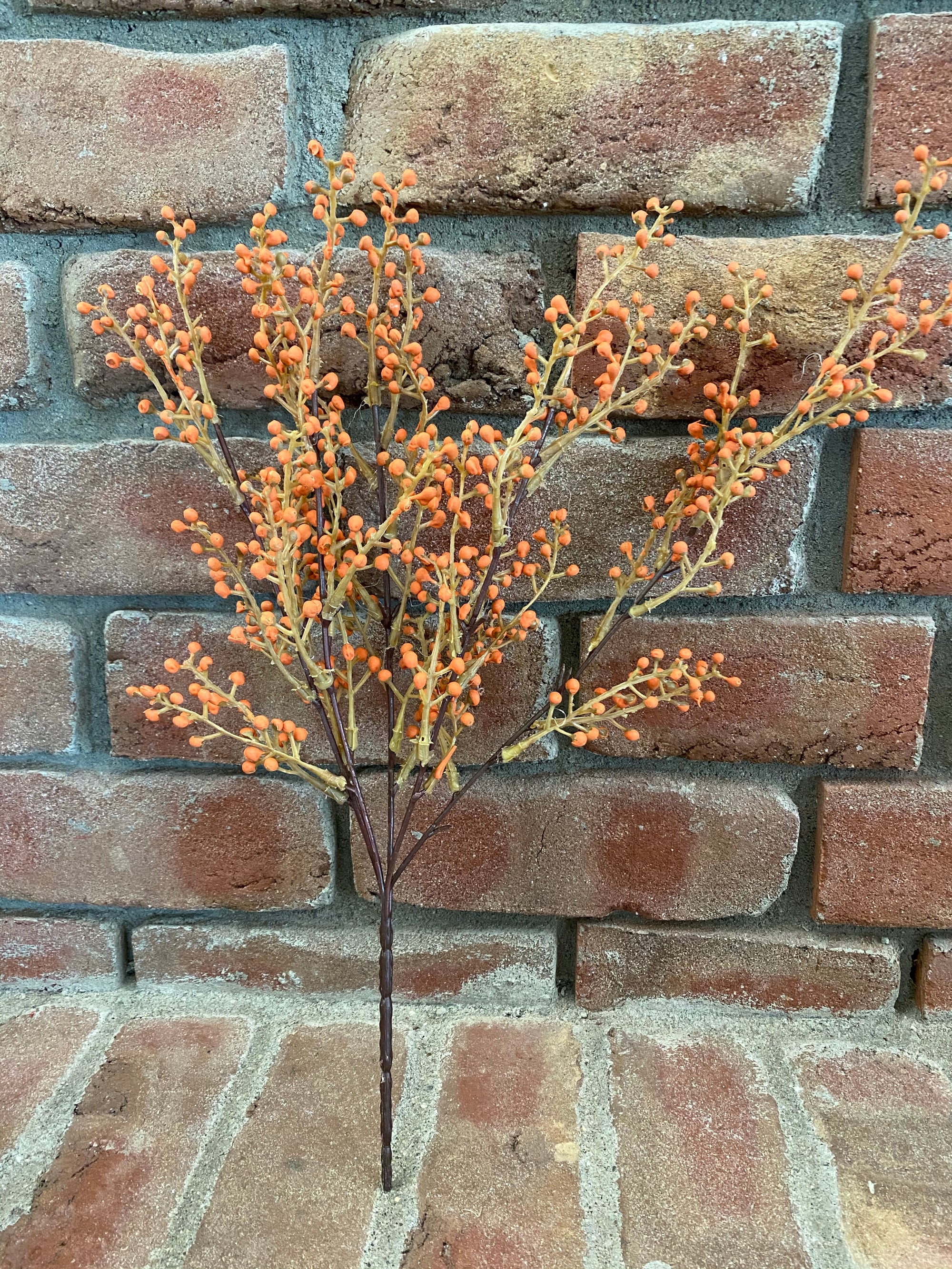 Button Berries Bush - Orange