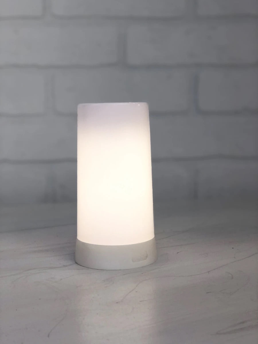 Lasting Lite Rechargeable Light