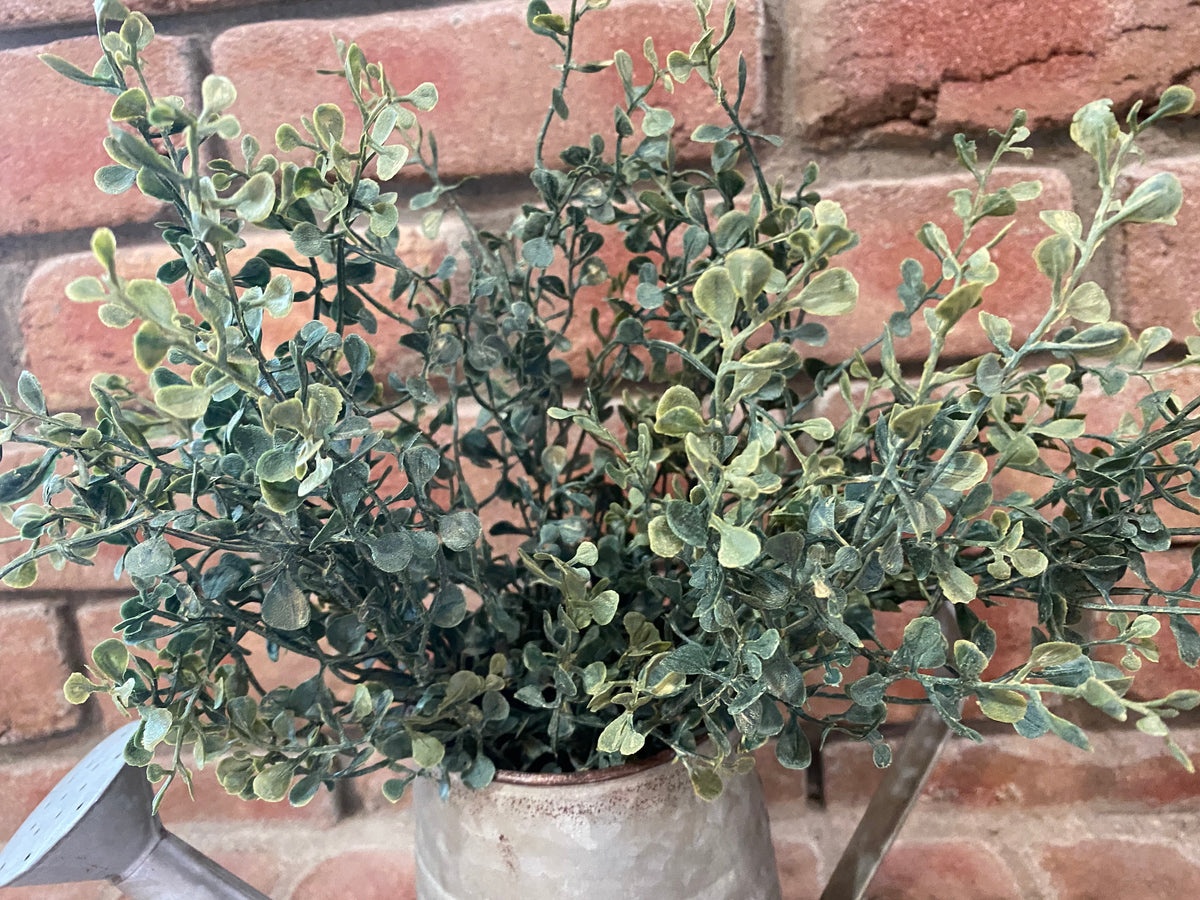 Watering Can with Baby’s Twilight Bush Arrangement