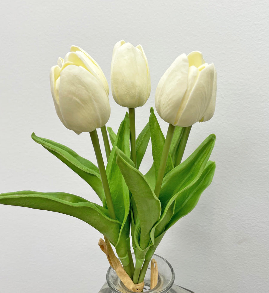 Tulips - 5 Styles