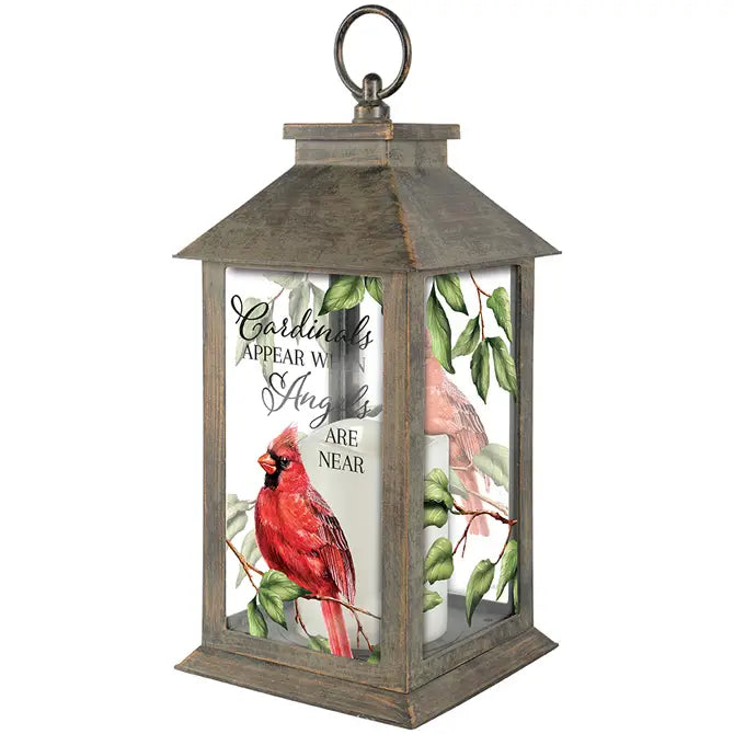 Cardinals Appear Lantern