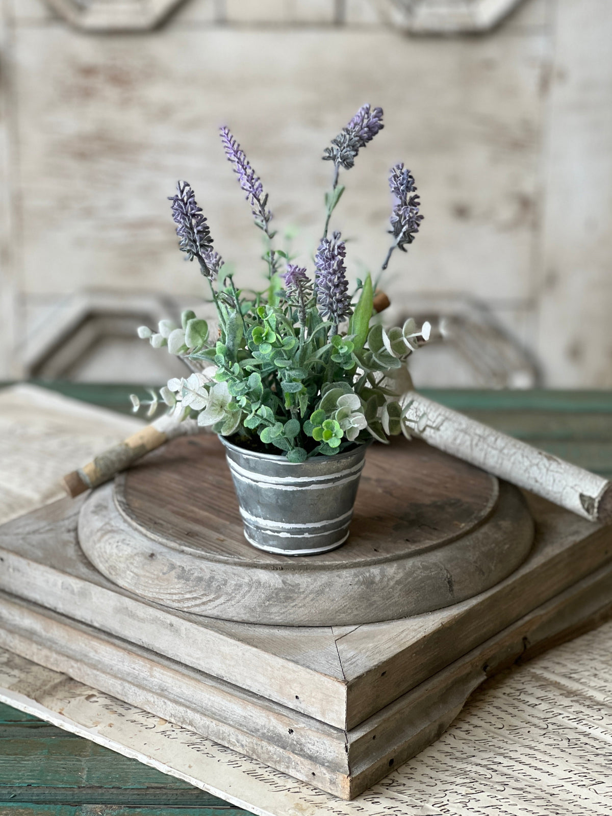 Potted Laughing Lavender