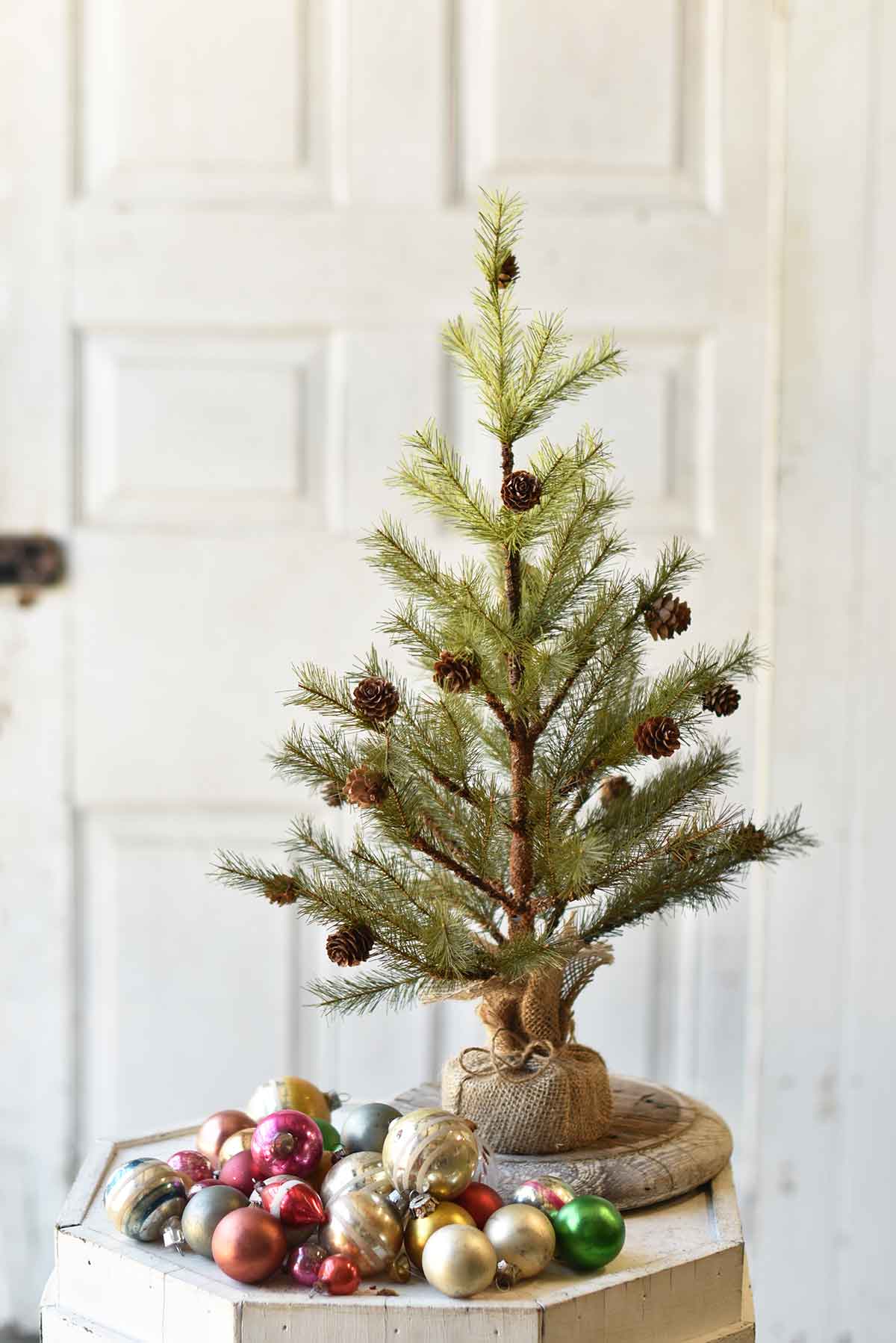 Pine Tree with Cones &amp; Burlap 24”