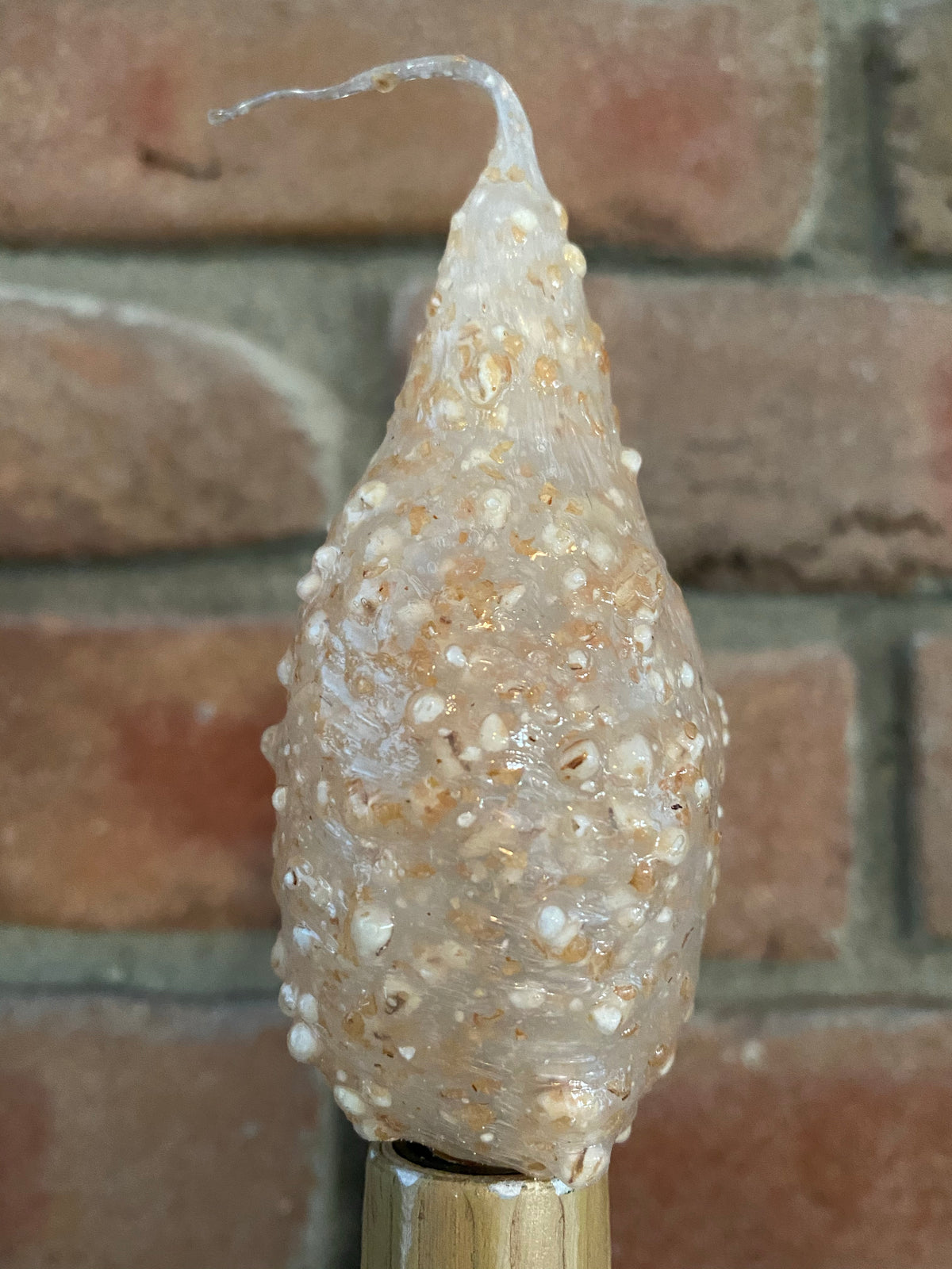 Large Cappuccino Bulb