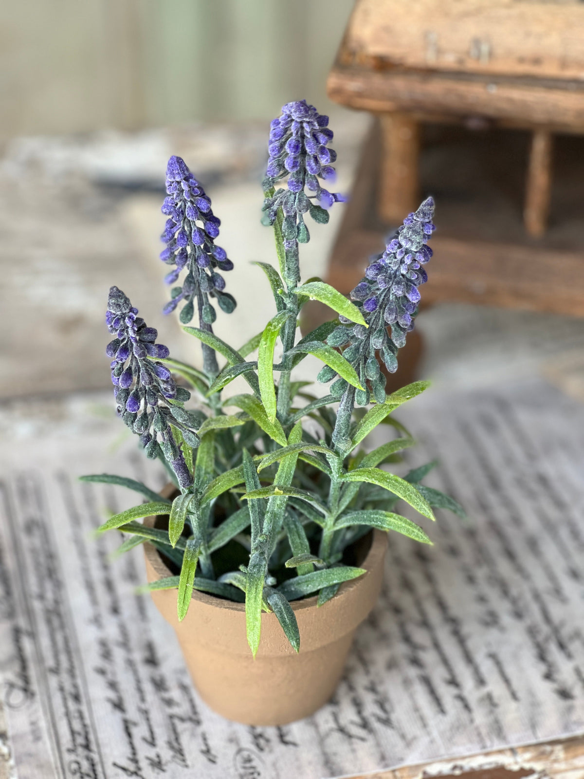 Mountain Bells Pot - Purple