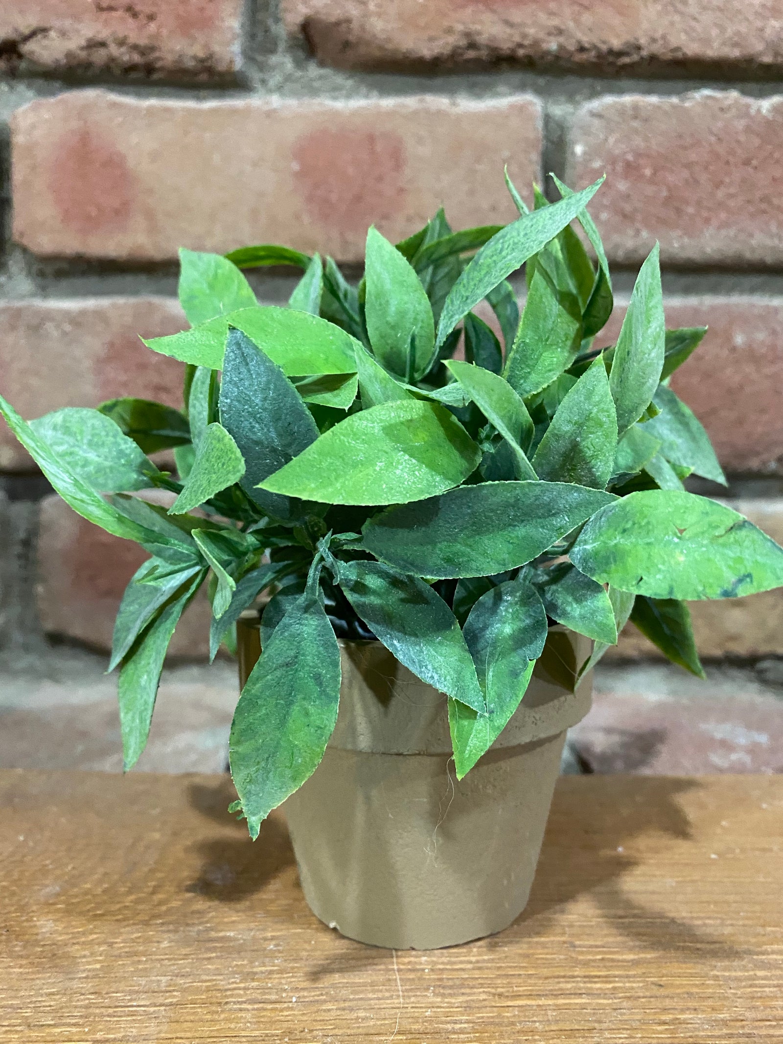 Gatehouse Herb Pot No. 3